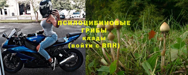 ГАЛЛЮЦИНОГЕННЫЕ ГРИБЫ Верхнеуральск