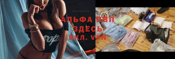 твердый Волоколамск