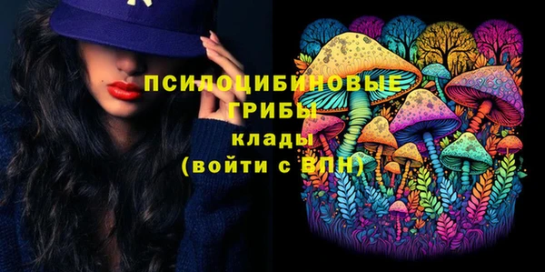 apvp Покров