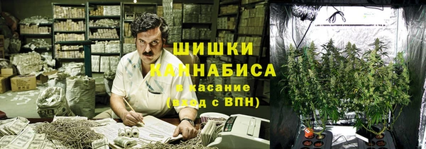 мдпв Володарск
